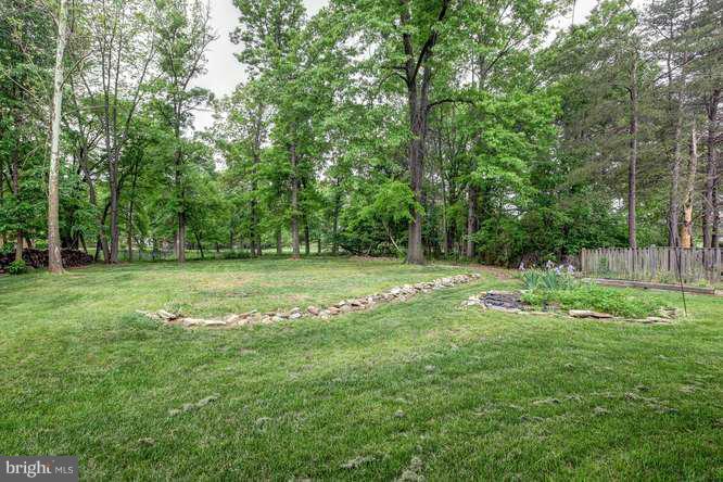 14719 Braddock Road Centreville, VA 20120 - Photo 21 of 22 Exterior (Rear)
