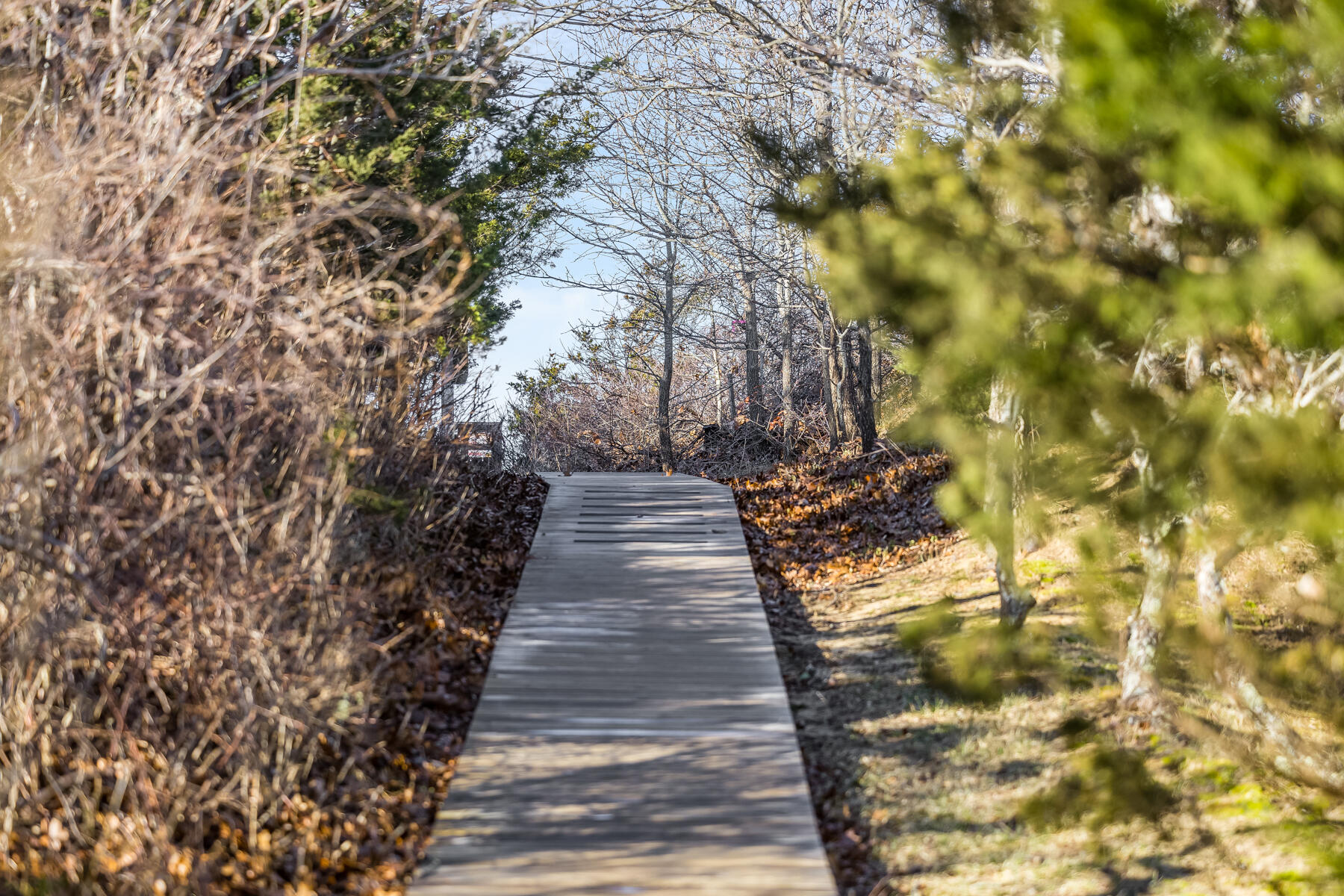 195 Silver Spring Beach Road Eastham, MA 02642 - Photo 2 of 45 9L4A2324