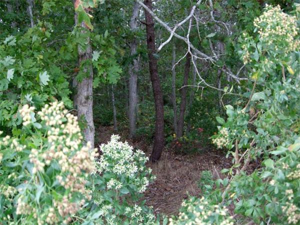342 Monomoscoy Road Mashpee, MA 02649 - Photo 4 of 4