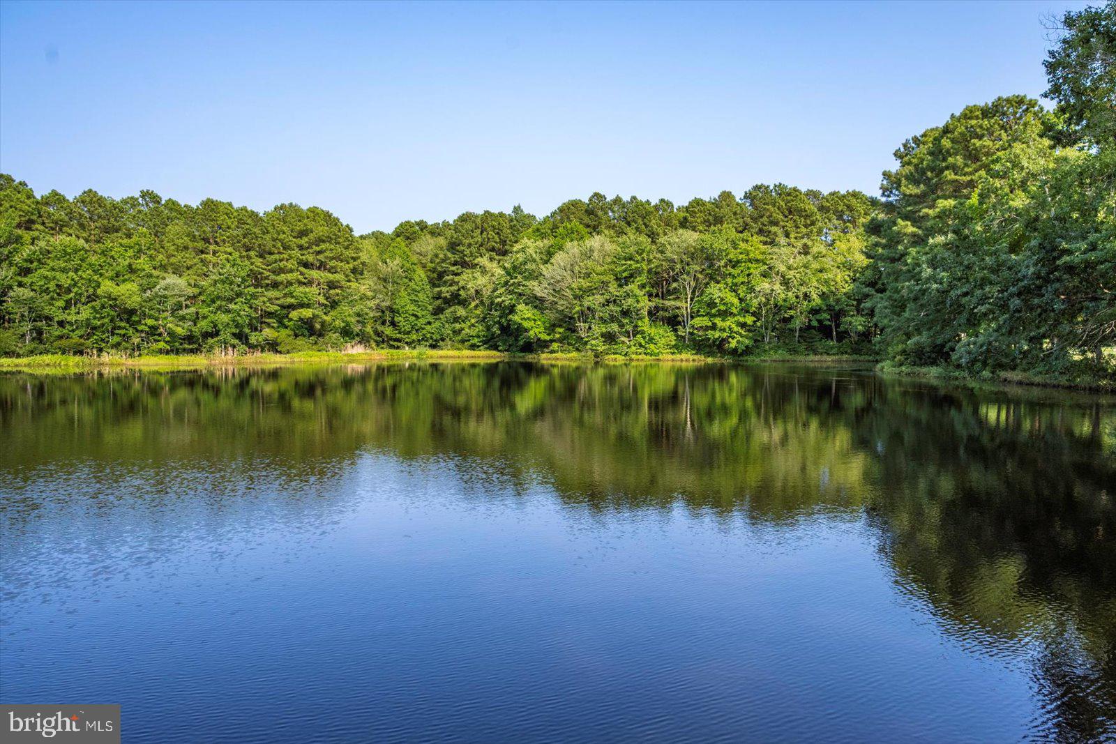2 Audubon Circle Berlin, MD 21811 - Photo 70 of 71