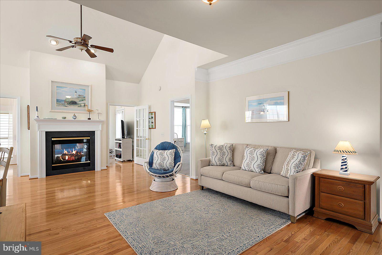 2 Audubon Circle Berlin, MD 21811 - Photo 9 of 71 a living room with furniture and a fireplace