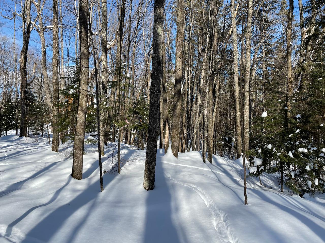 On Beaver Road, Unit LOT 6 Presque Isle, WI 54557 - Photo 8 of 19 Gallery Image 8