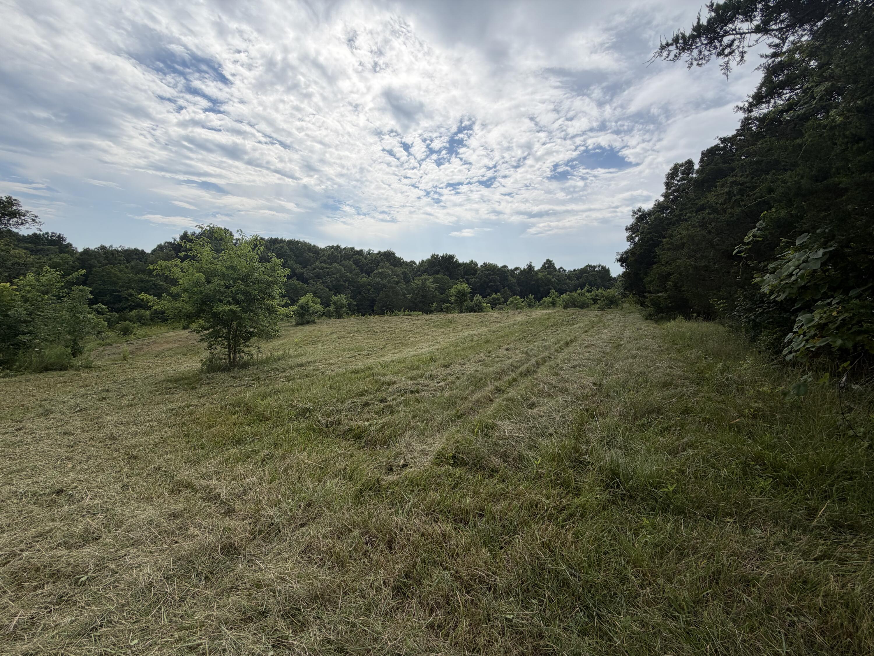0 Swope Natlee Road Corinth, KY 41010 - Photo 3 of 16 IMG_4927