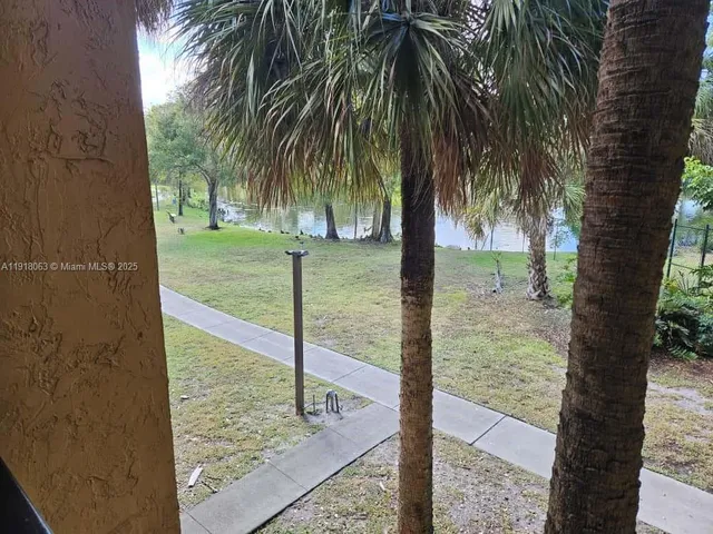 a view of ocean with large tree