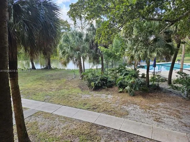 a view of a yard with plants and a large tree