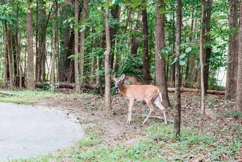 $352,000 | 8620 Brushfoot Way, Unit 105, Raleigh, NC 27616