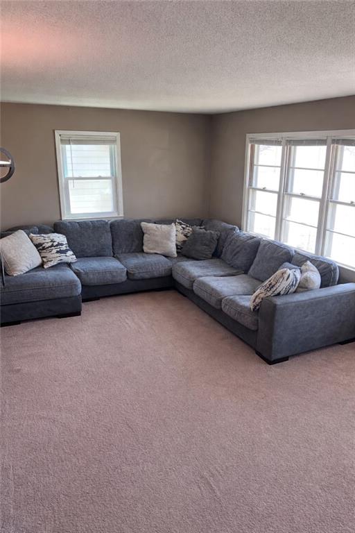 502 Northeast Ash Street Lee's Summit, MO 64063 - Photo 7 of 24