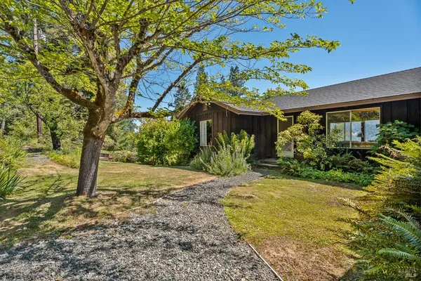 a view of a house with a tree in the yard