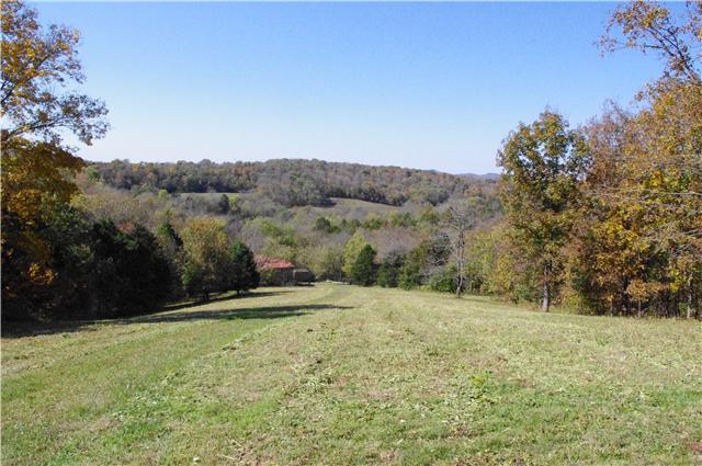 217 Kyle Hollow Road Alexandria, TN 37012 - Photo 18 of 19 Beautiful view up on top of the hill.