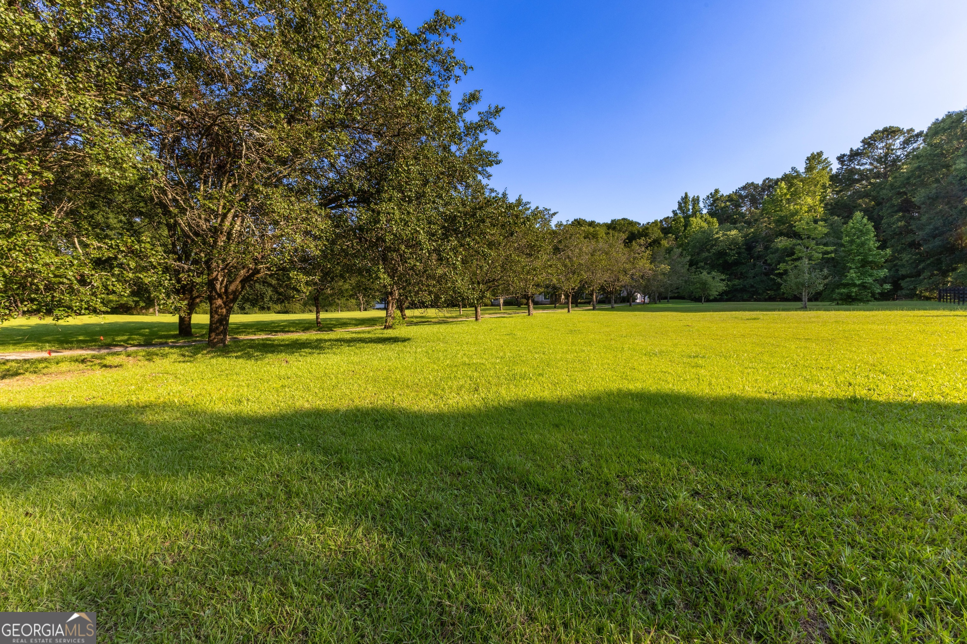 716 Snead Road Fayetteville, GA 30215 - Photo 43 of 55