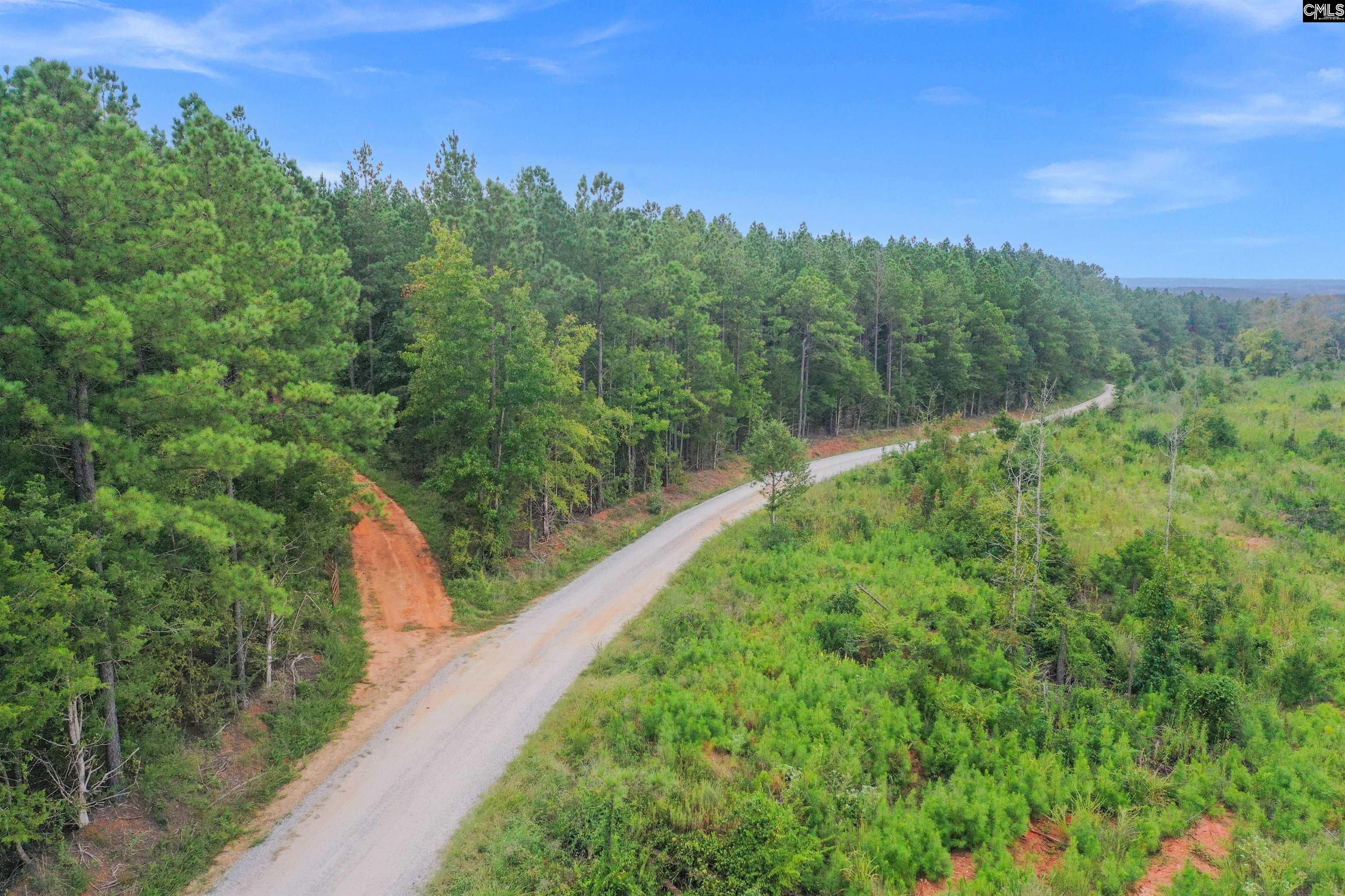 0 Penner Road, Unit 10 Jenkinsville, SC 29065 - Photo 4 of 43