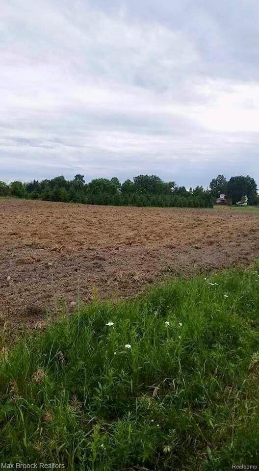 5325 Treasurer Road Mayville, MI 48744 - Photo 36 of 51 D69C55C9-80AB-47EC-A565-2D2CC1DE069F.jpeg