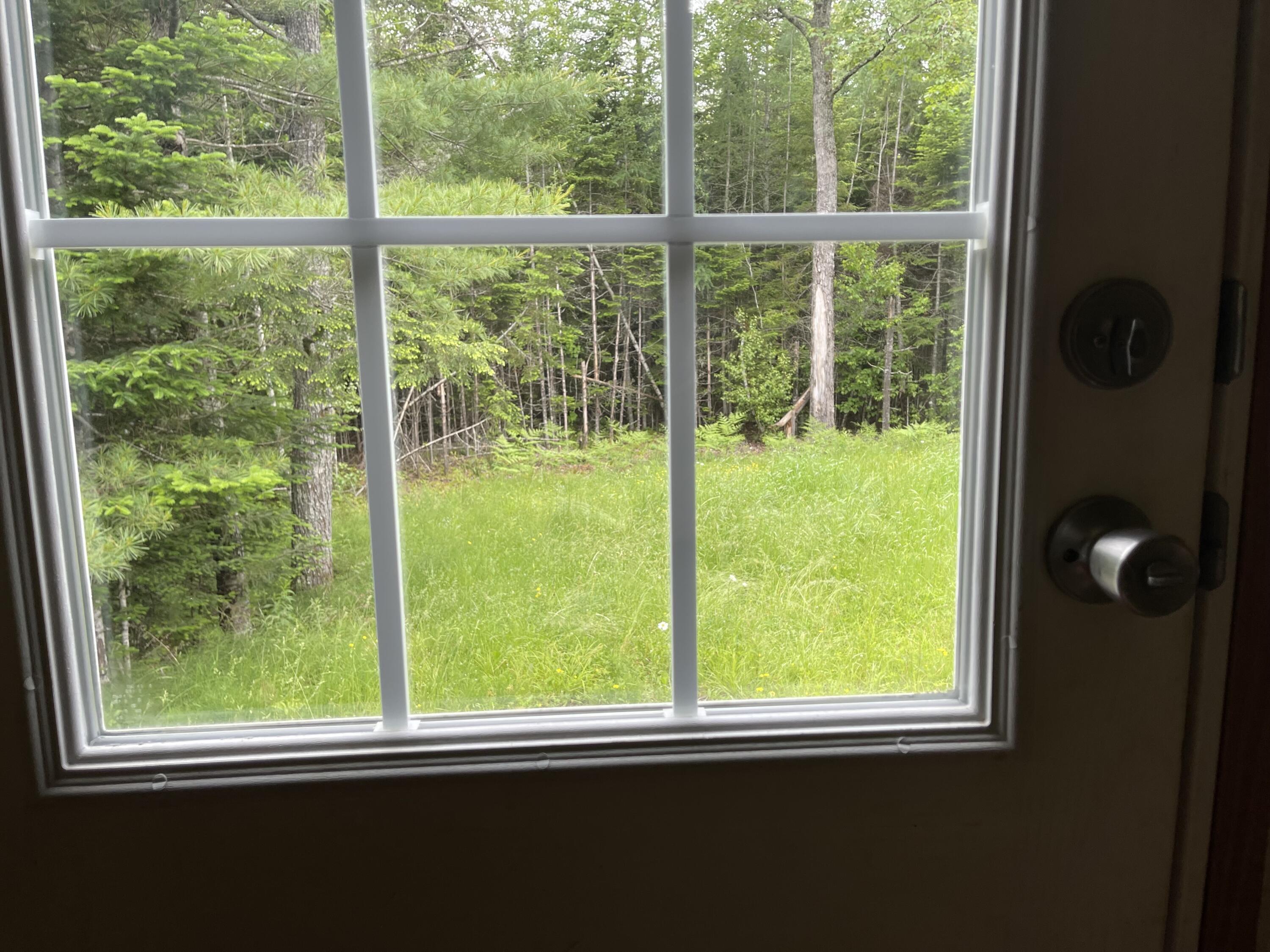 141 Frost Mill Road Ellsworth, ME 04605 - Photo 27 of 31 View from Back Door