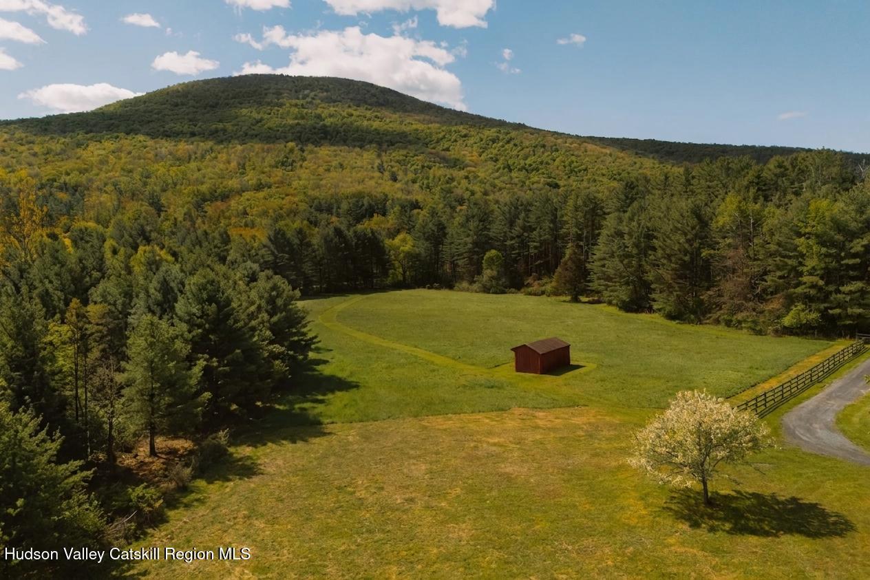 35 Van Wagner Road Willow, NY 12495 - Photo 40 of 44 collov-ai_20260518113844_c8sykh