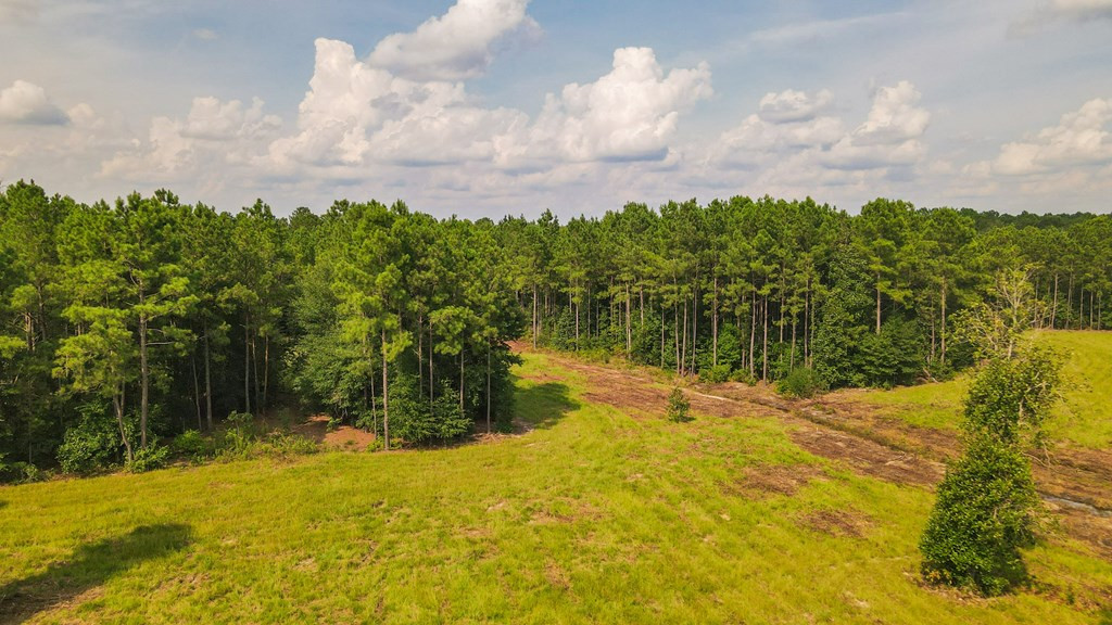 241 Voyager Road Salley, SC 29137 - Photo 29 of 31