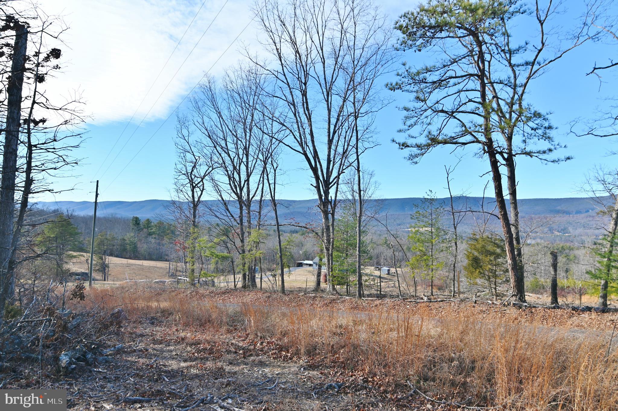 Jerome Road Mount Jackson, VA 22842 - Photo 1 of 20 a view of outdoor space and tree
