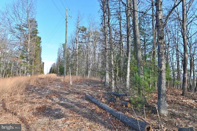 a view of outdoor space with trees