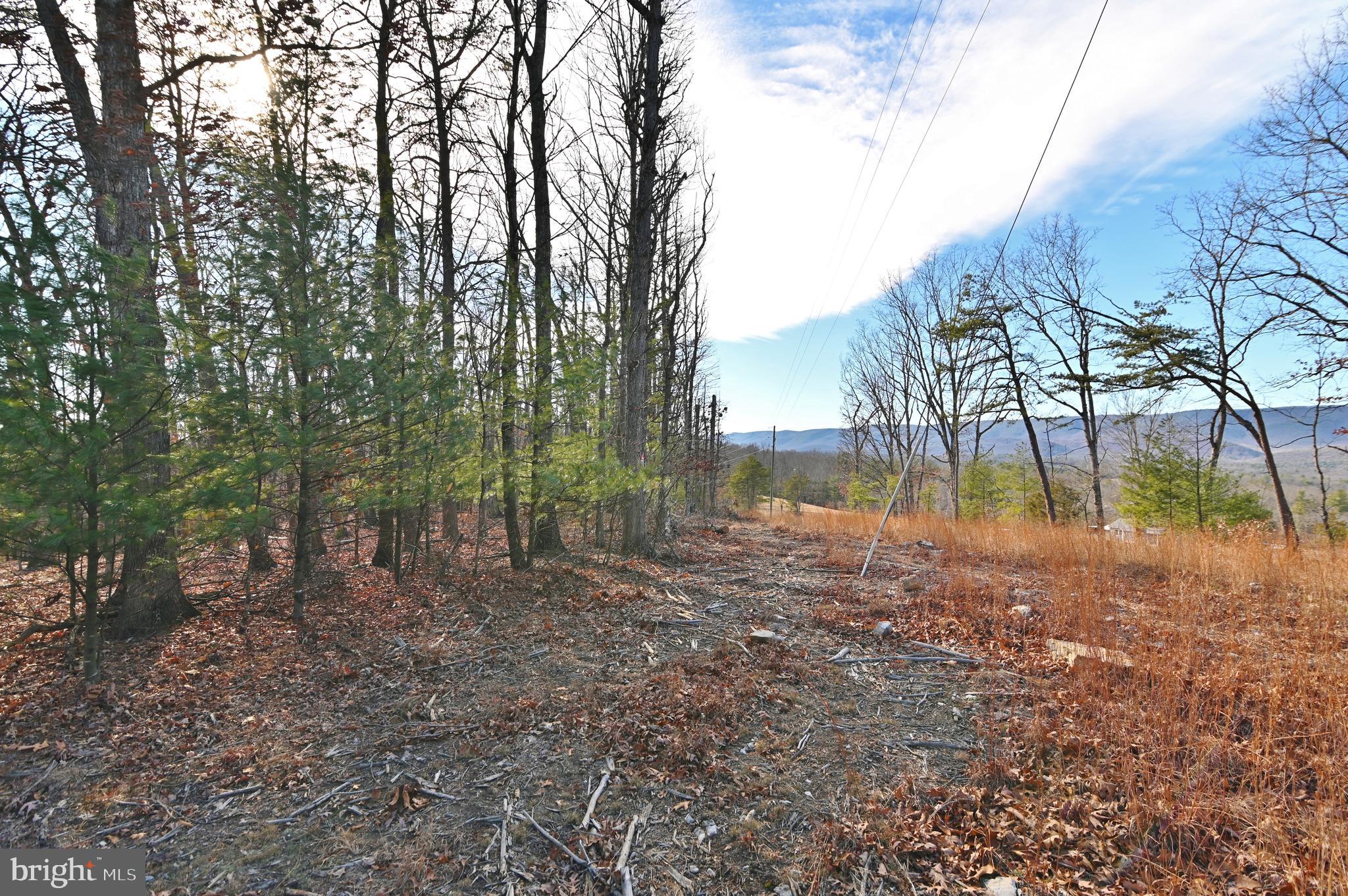 Jerome Road Mount Jackson, VA 22842 - Photo 16 of 20 a view of a yard with a tree