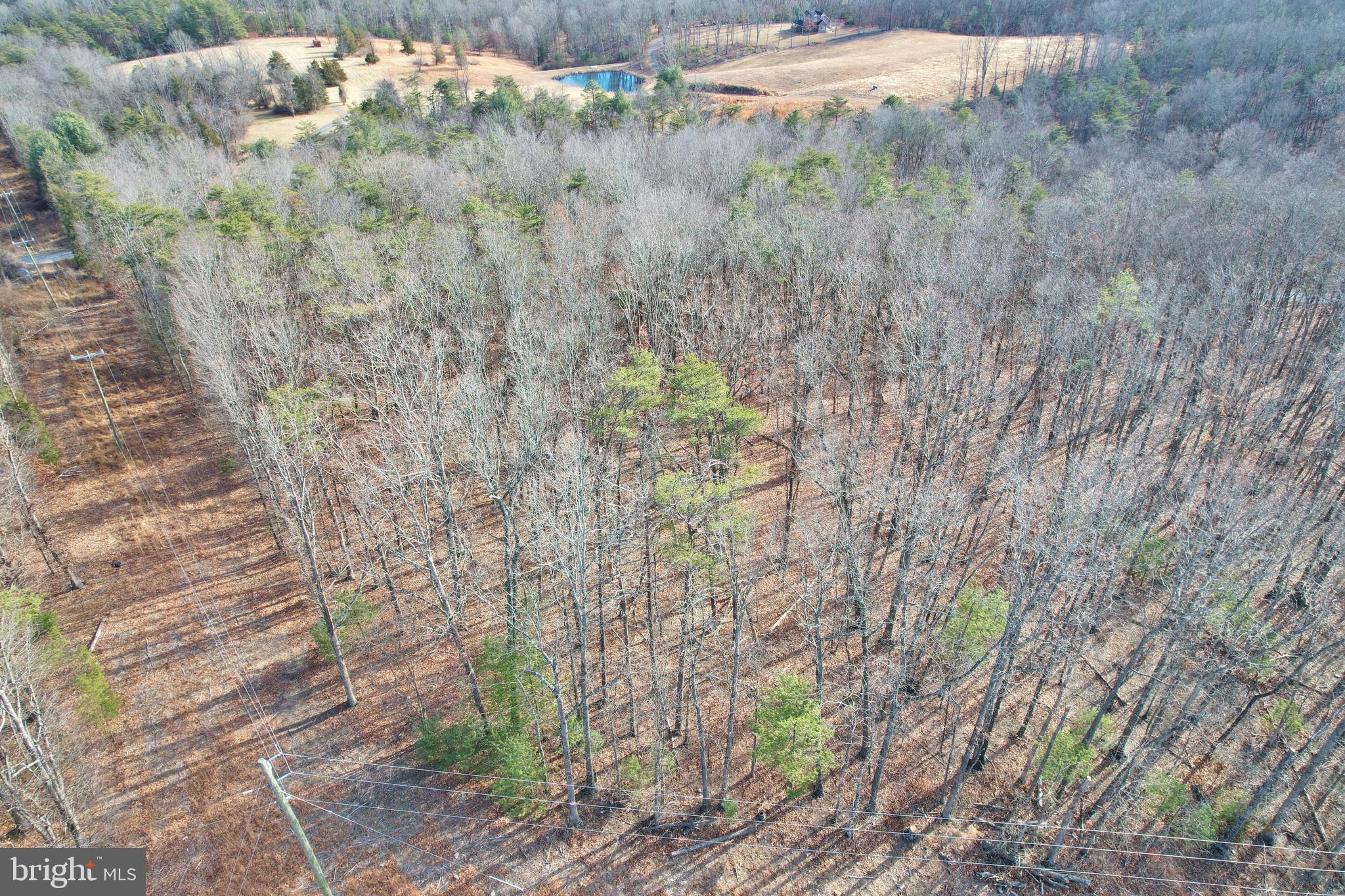 Jerome Road Mount Jackson, VA 22842 - Photo 17 of 20 a view of a dry yard