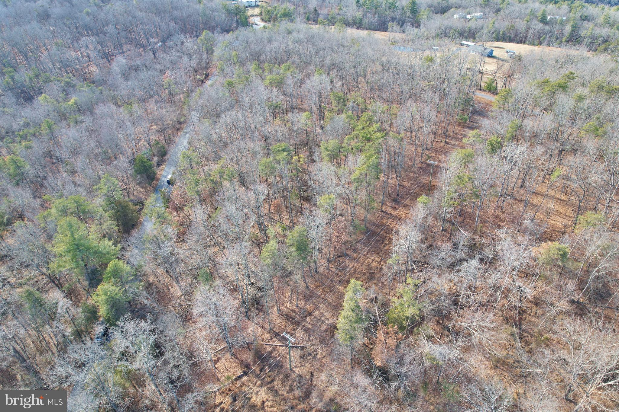 Jerome Road Mount Jackson, VA 22842 - Photo 18 of 20 a view of a dry yard