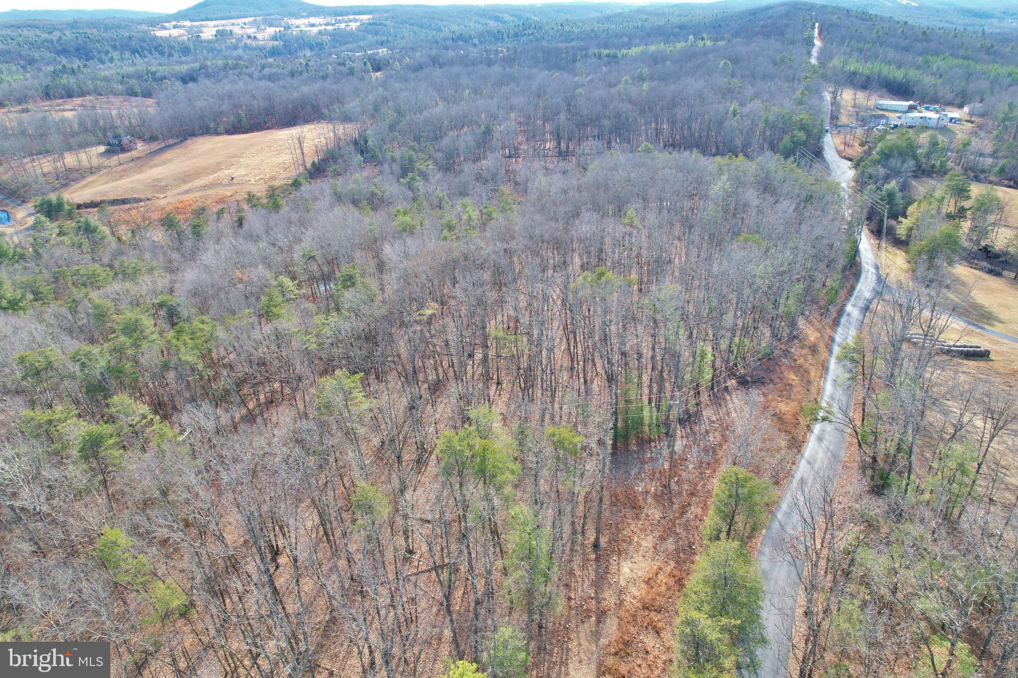 Jerome Road Mount Jackson, VA 22842 - Photo 19 of 20 a view of a dry yard