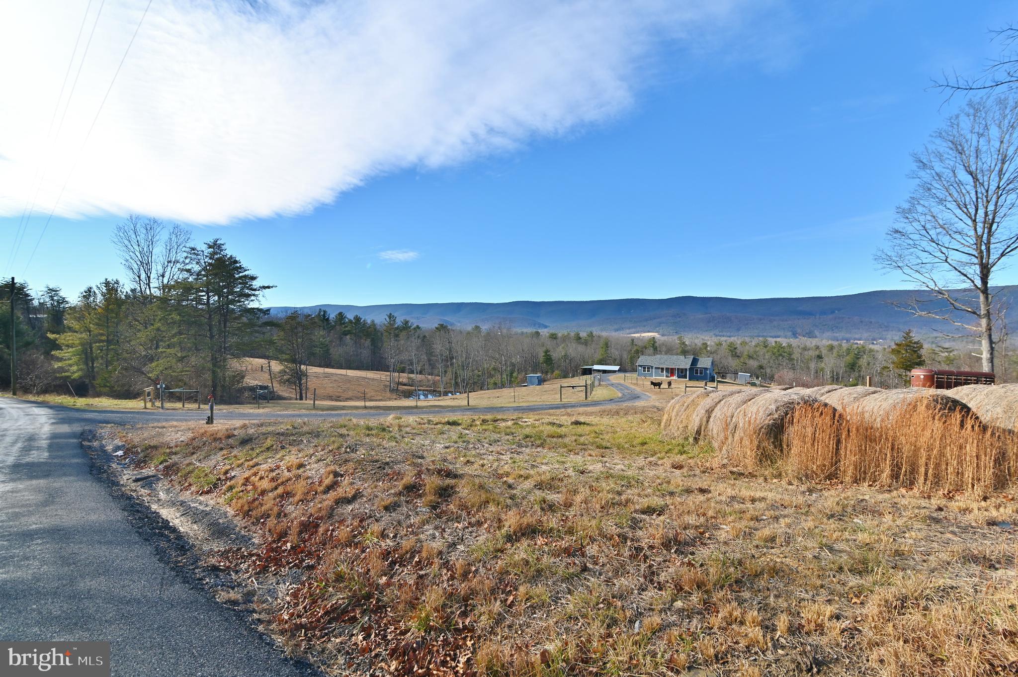 Jerome Road Mount Jackson, VA 22842 - Photo 3 of 20 a view of a backyard of a house