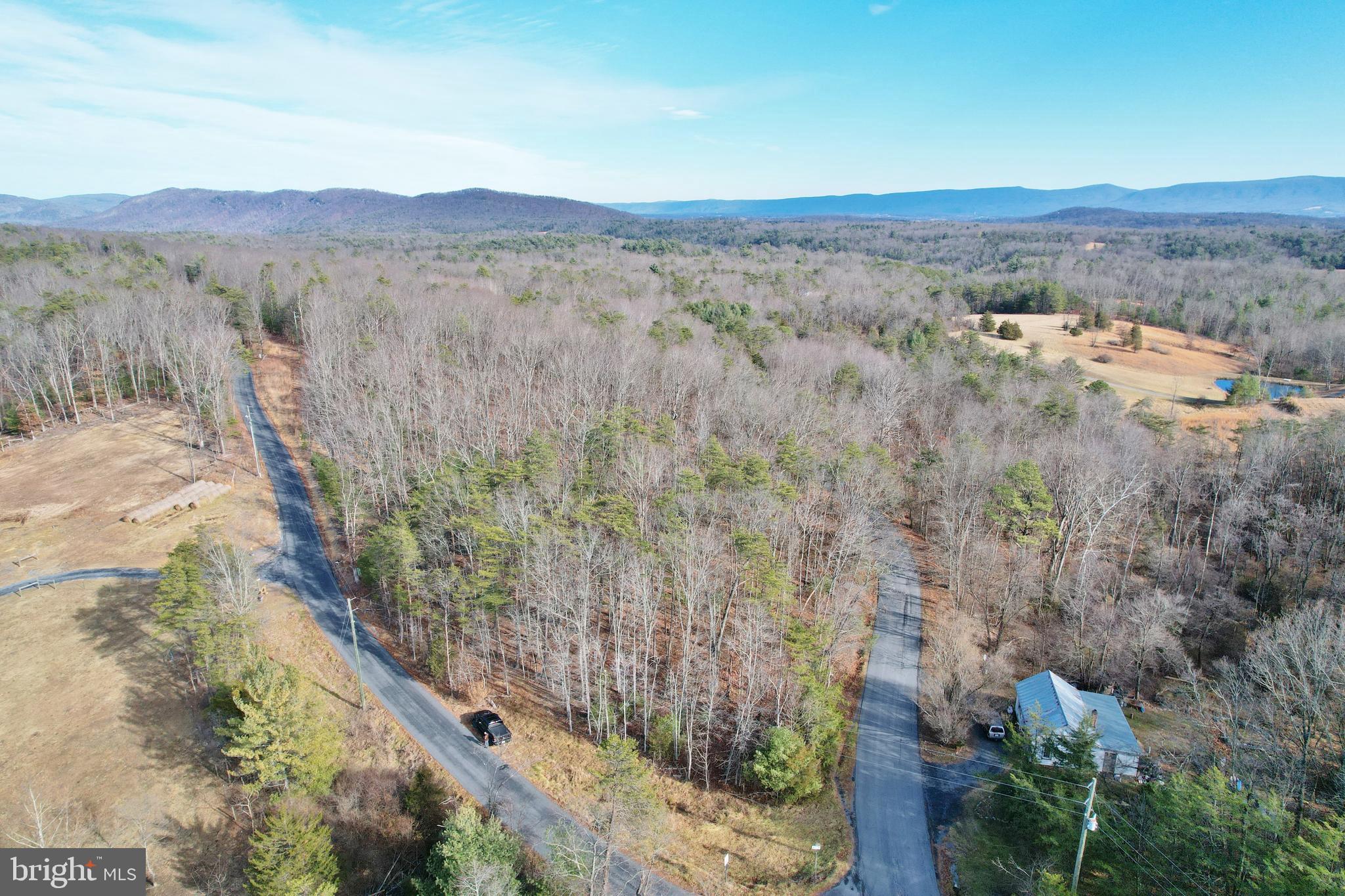 Jerome Road Mount Jackson, VA 22842 - Photo 4 of 20 a view of a dry yard with green space