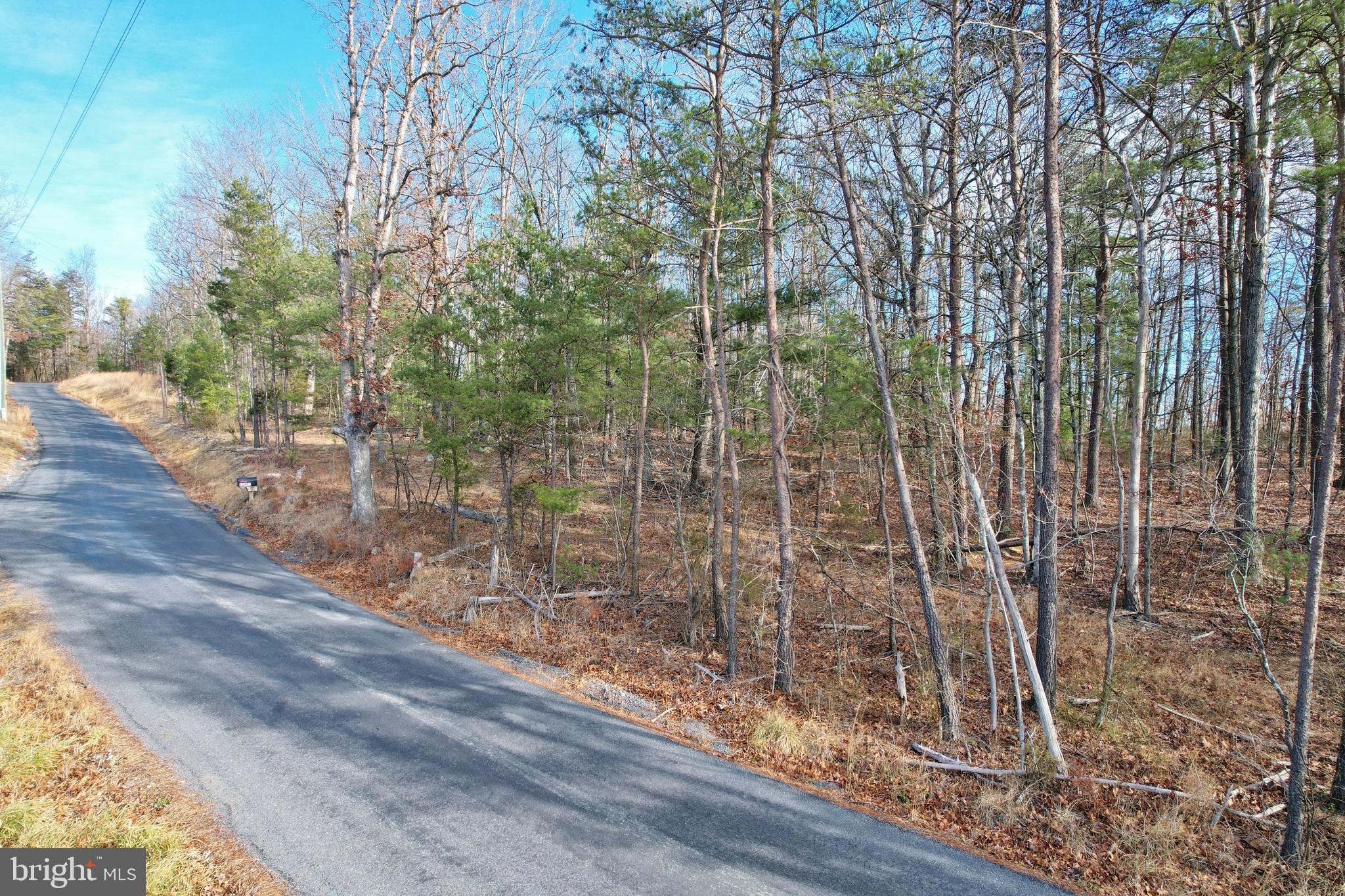 Jerome Road Mount Jackson, VA 22842 - Photo 9 of 20 a view of a pathway with a yard
