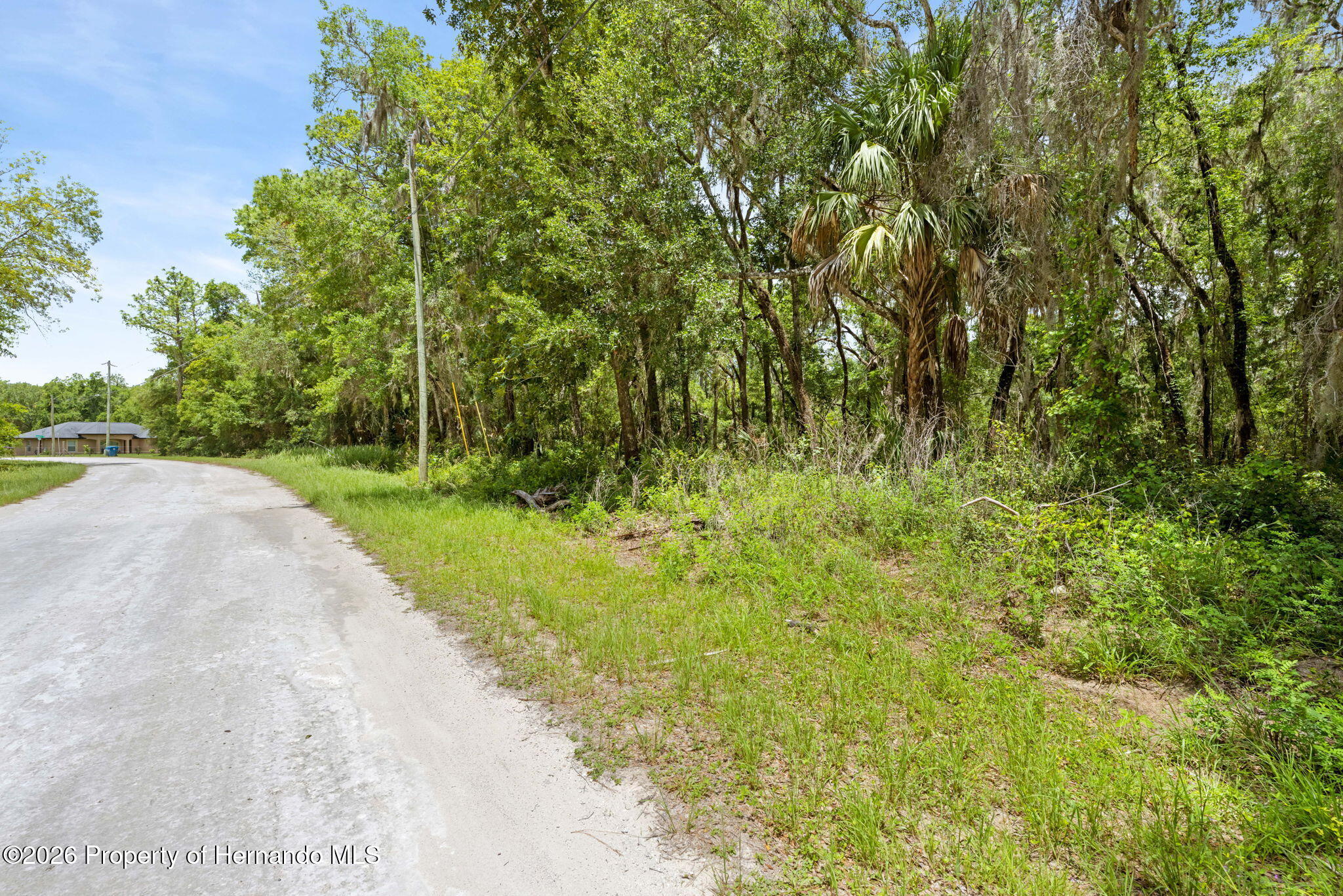 0 Ricebird Avenue Weeki Wachee, FL 34614 - Photo 22 of 26
