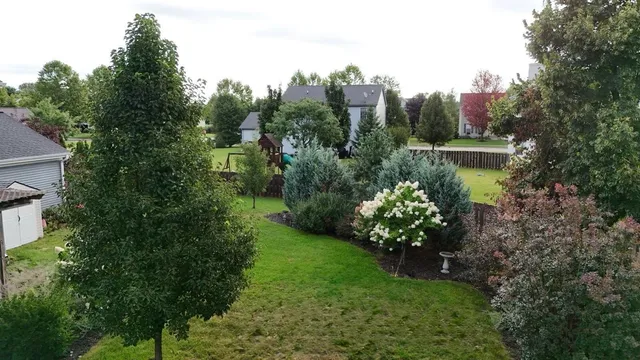 a view of a garden with a fountain