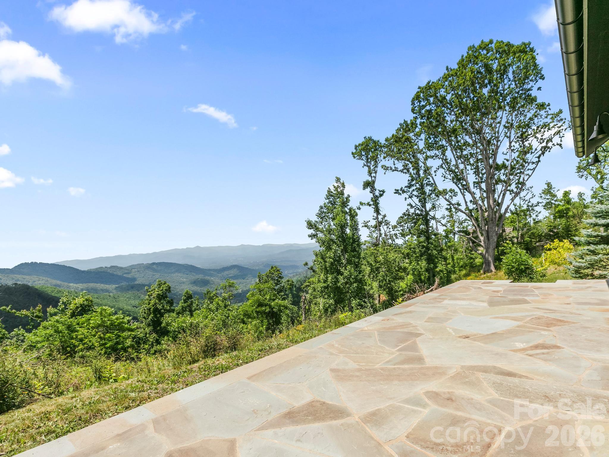 41 Windy Ridge Trail Asheville, NC 28804 - Photo 5 of 41