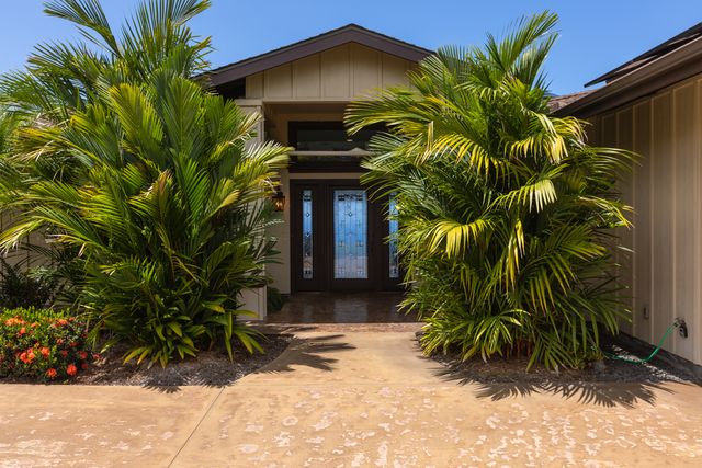 a plant is in front of a house
