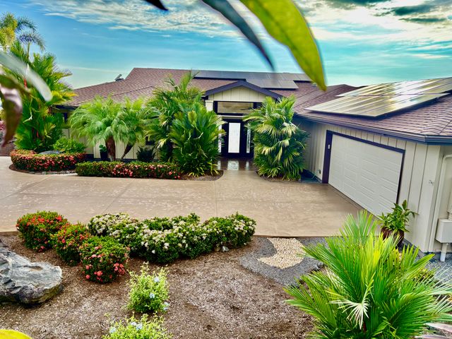 a view of a backyard with plants