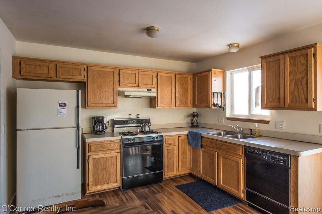 4103 Neuman-5.jpg