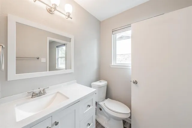 a tall tree in middle of the garden