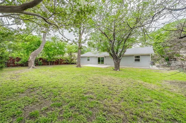 a view of a yard with plants and trees