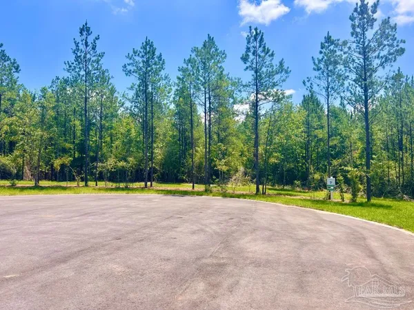 a view of an outdoor space and trees
