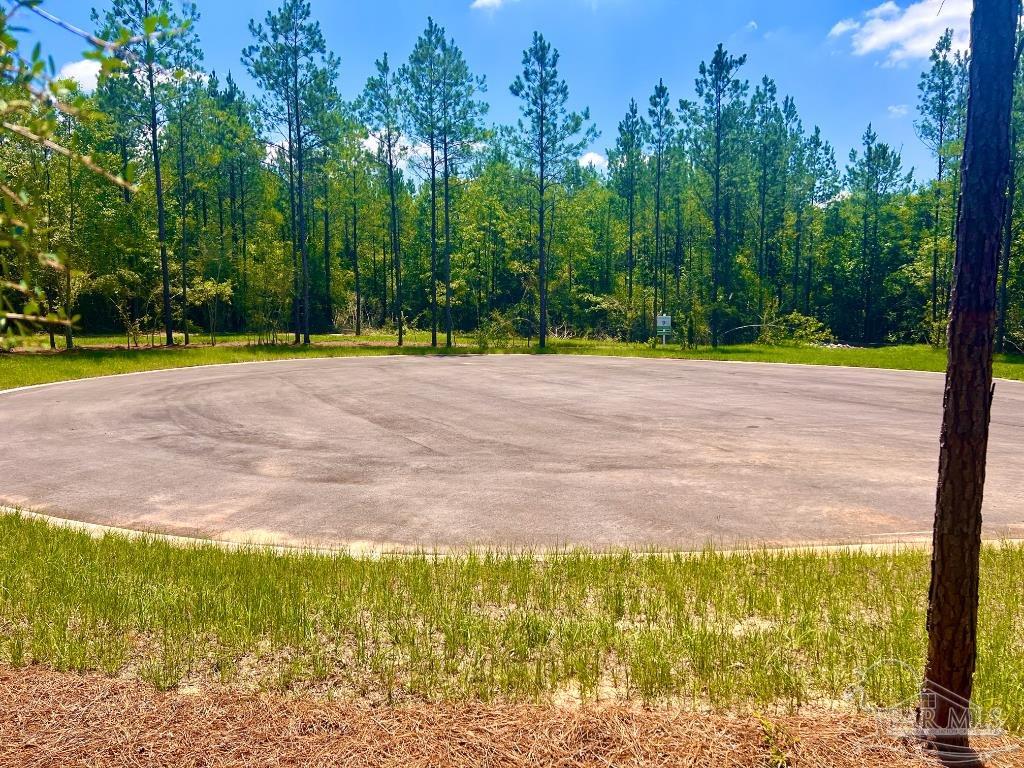 Lot 9 Creekdown Lane Jay, FL 32565 - Photo 13 of 43 a view of a yard with an outdoor space