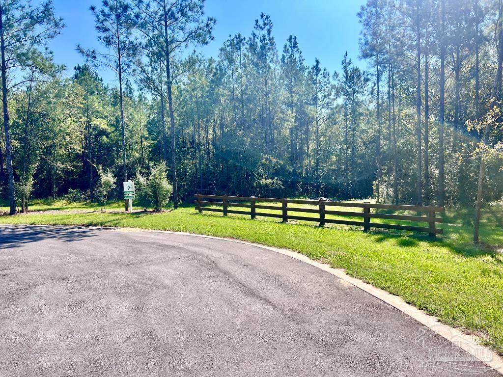 Lot 9 Creekdown Lane Jay, FL 32565 - Photo 16 of 43 a view of a park with large trees