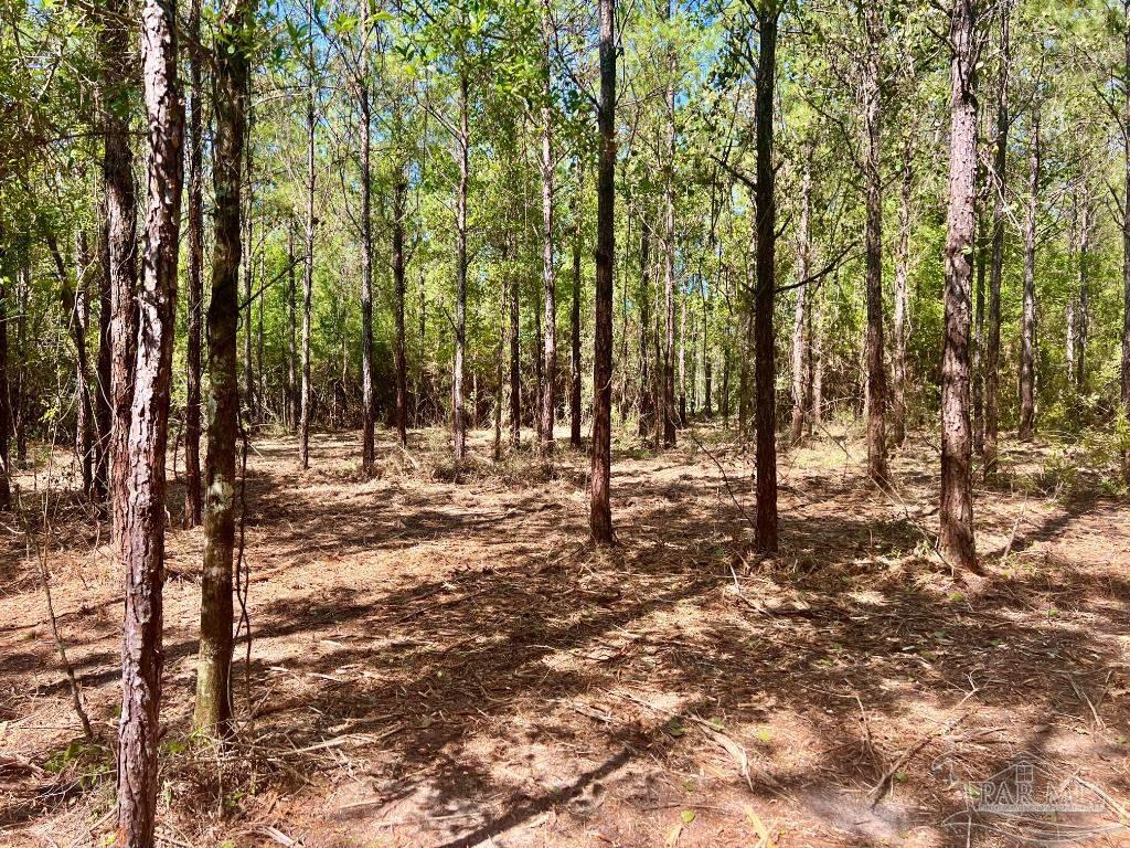 Lot 9 Creekdown Lane Jay, FL 32565 - Photo 18 of 43 a view of outdoor space with lots of trees