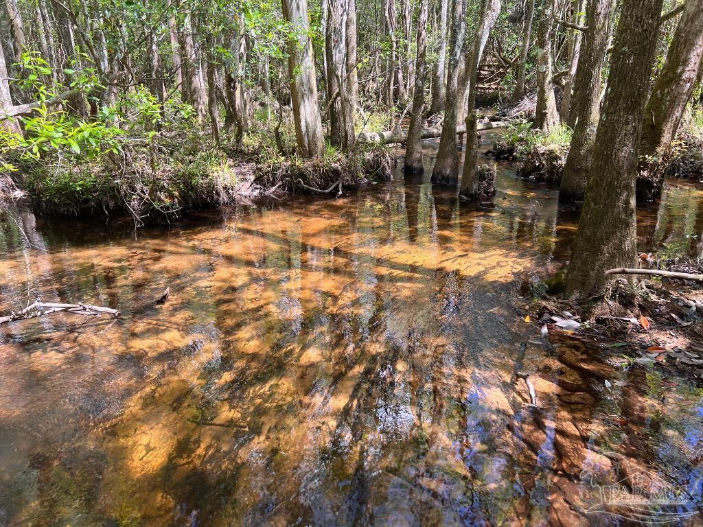 Lot 9 Creekdown Lane Jay, FL 32565 - Photo 2 of 43 a view of yard
