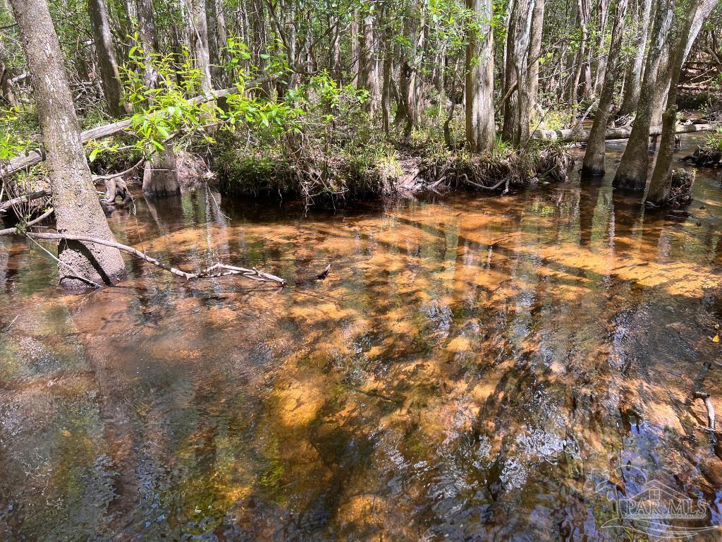 Lot 9 Creekdown Lane Jay, FL 32565 - Photo 21 of 43 a view of a yard with plants and trees