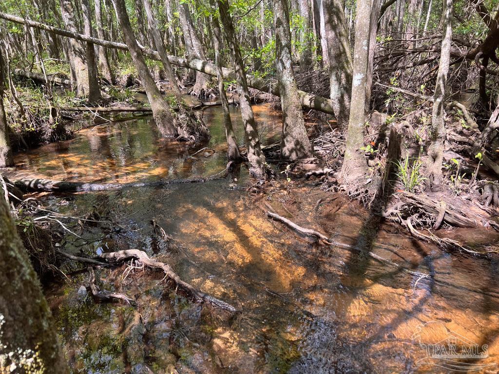 Lot 9 Creekdown Lane Jay, FL 32565 - Photo 22 of 43 a backyard of a building