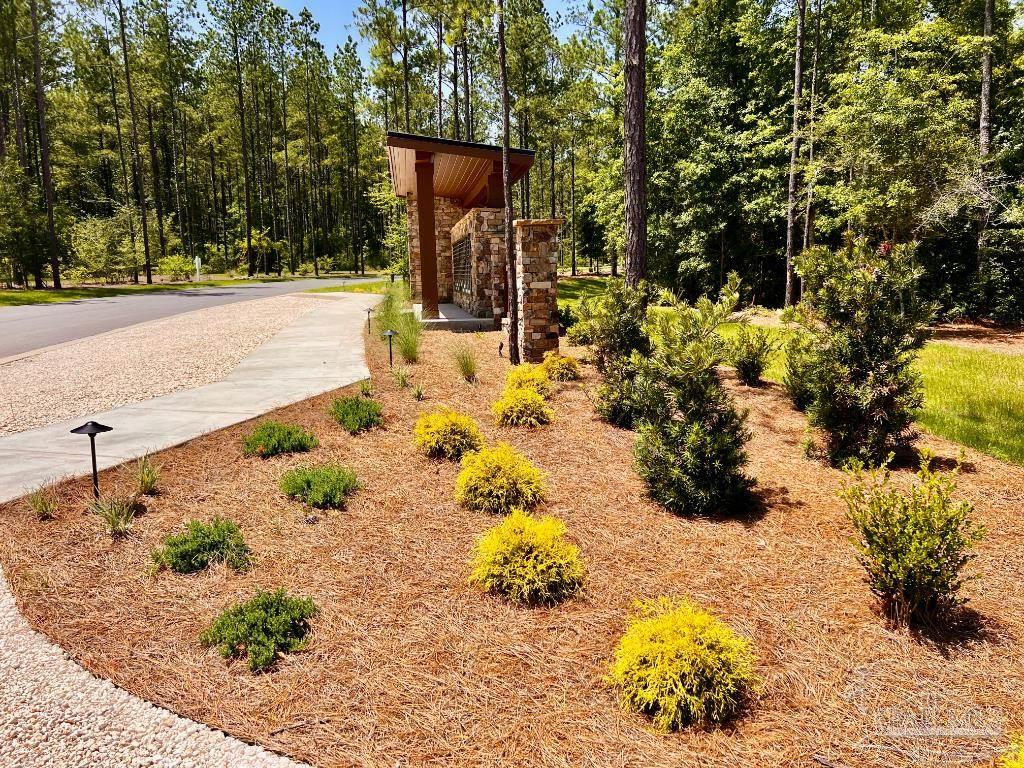 Lot 9 Creekdown Lane Jay, FL 32565 - Photo 35 of 43 a view of a yard with snow