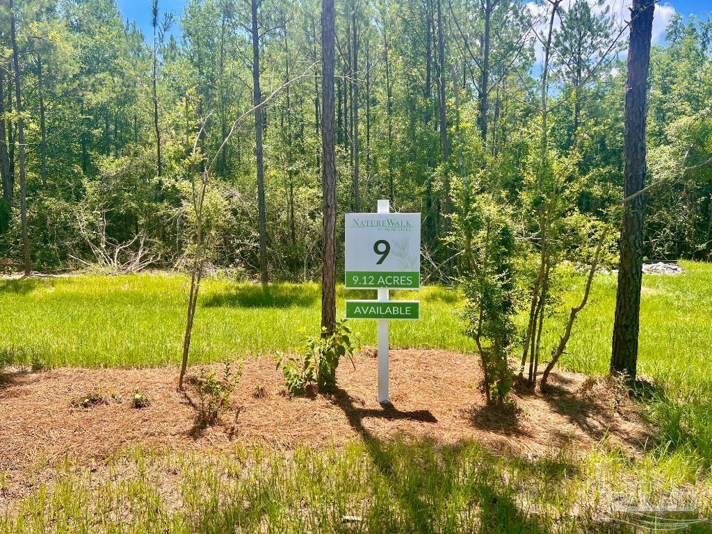 Lot 9 Creekdown Lane Jay, FL 32565 - Photo 7 of 43 a view of a park with large trees