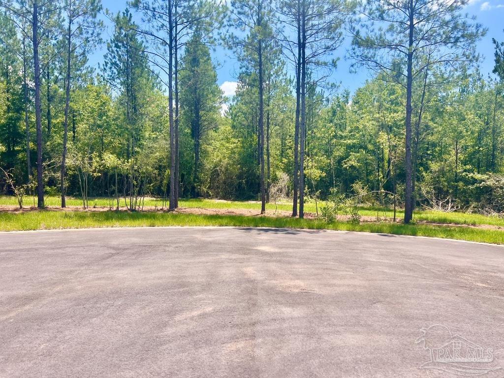 Lot 9 Creekdown Lane Jay, FL 32565 - Photo 10 of 43 a view of a swimming pool with a yard and trees