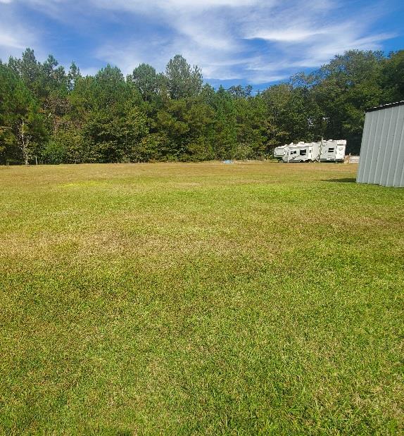 0 Sowell Road Dothan, AL 36301 - Photo 3 of 13