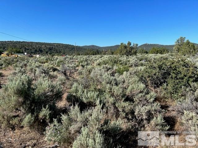 2510 Lousetown Road, Unit 251 Reno, NV 89521 - Photo 8 of 10 a view of a city with lush green forest