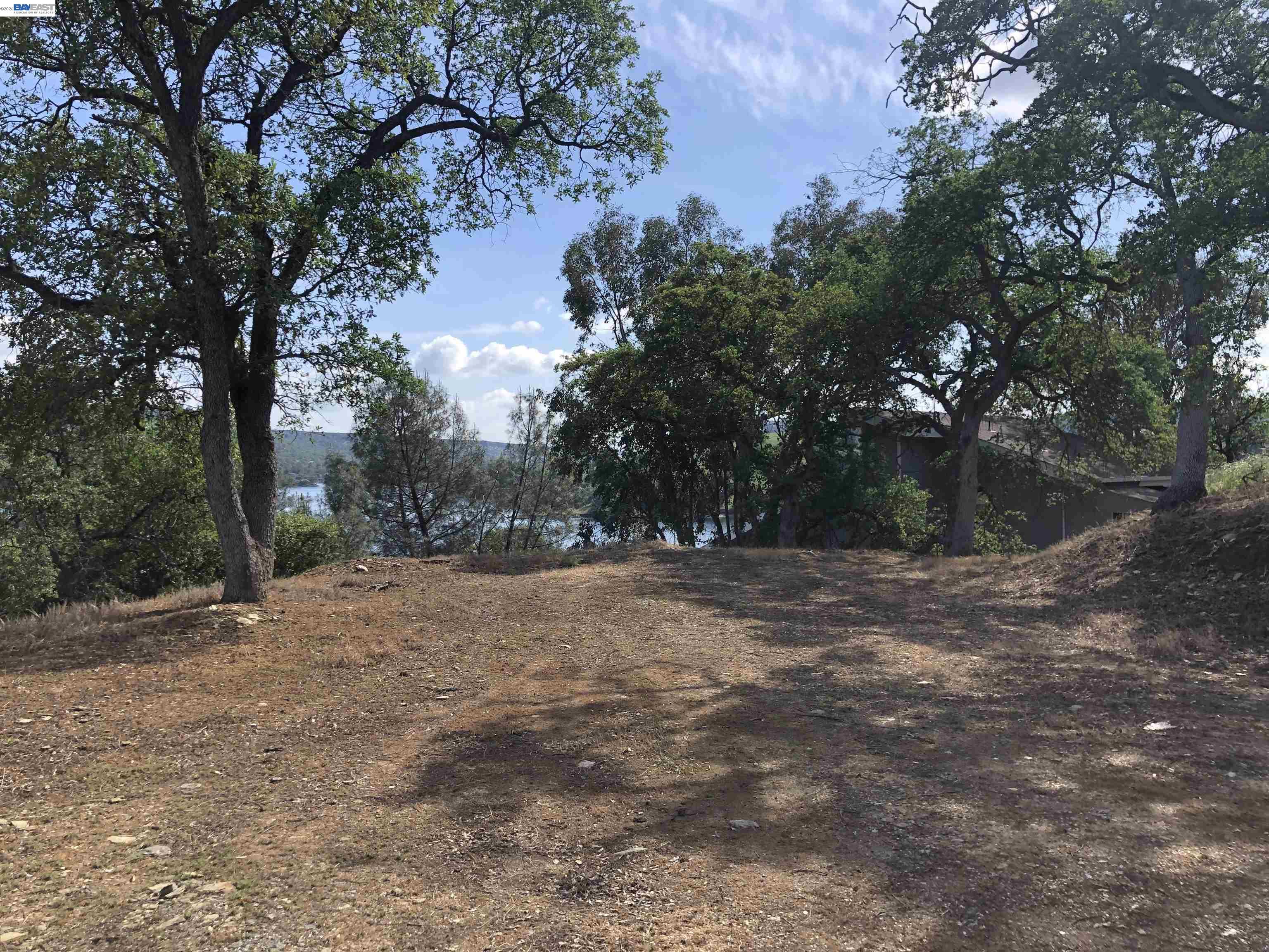 512 Winchester Way Copperopolis, CA 95228 - Photo 3 of 11 a backyard of a house with lots of green space