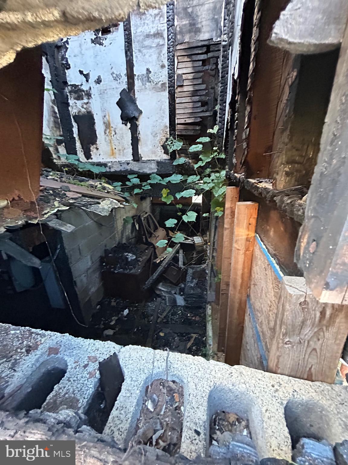 12316 Williams Road Southeast Cumberland, MD 21502 - Photo 9 of 21